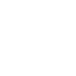 Plumber London Ontario | London Plumbing Solutions Logo